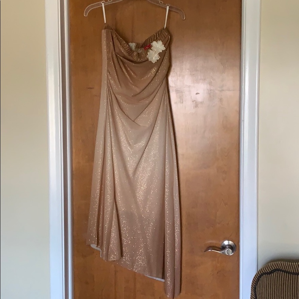 Sparkly dress